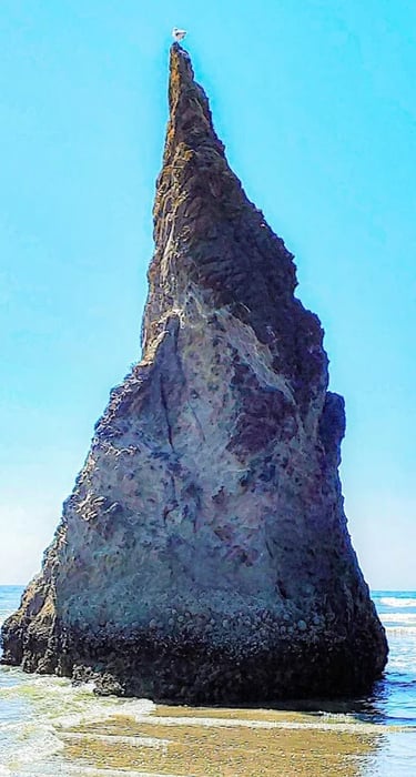 Oregon Coast - Sea stack rock on the waters edge is formed from lava at Bandon beach