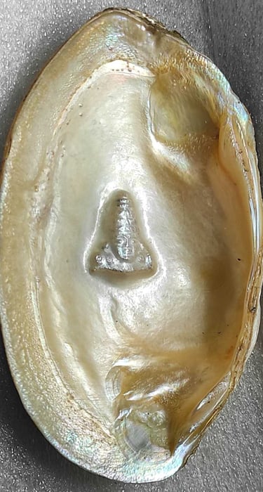 "11mm white designer pearl with divine facial carving–cultured using nucleus technique-Shipped worldwide"