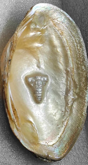 "Side view of 11mm designer cultured pearl with detailed divine face–nucleus-based-Sent overseas"