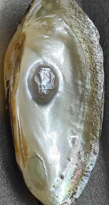 "11mm white pearl with divine carving–side angle showing surface texture-for global markets"