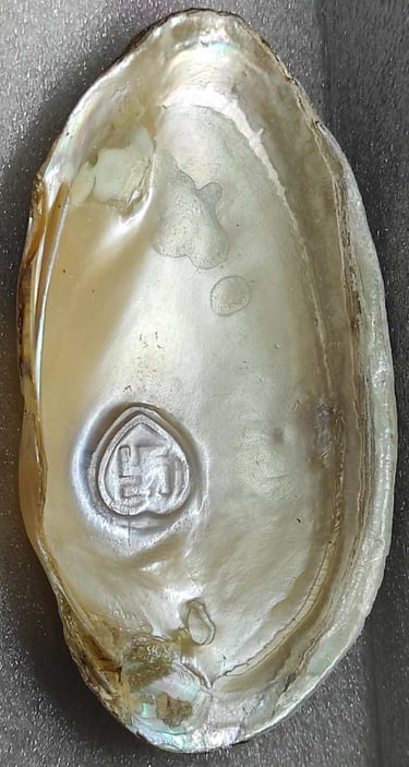 "Side view of 11mm white heart-shaped designer cultured pearl-nucleus-grown form-for worldwide trade".