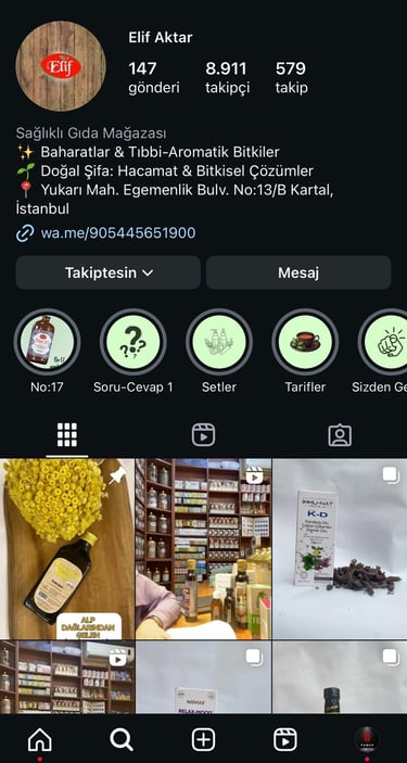 Elif Aktar Sosyal Medya Yönetimi