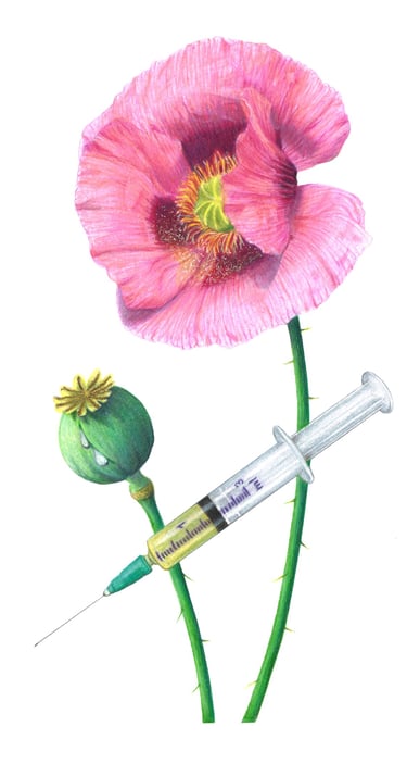 Heroin illustration
