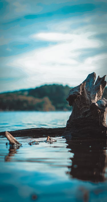 Fotografía del Pantano en Cecebre, A Coruña