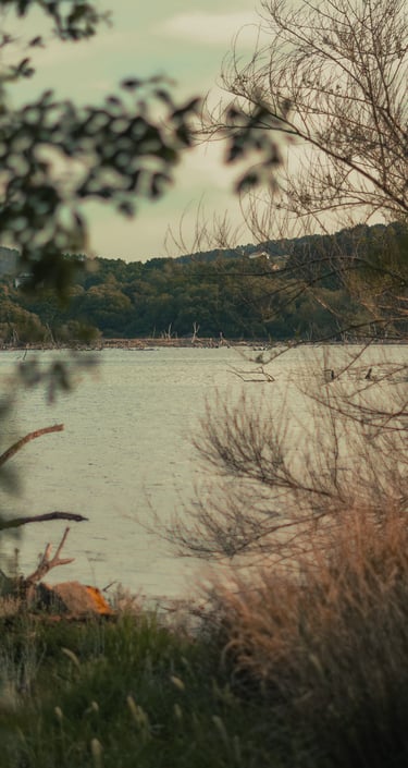 Vistas al pantano de Cecebre