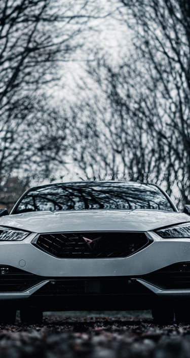 Fotografía del coche Cupra León de 2024