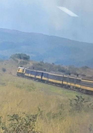 Crossing the savannah by train en route to Franceville, Gabon