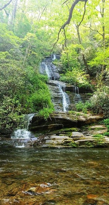 Smoky Mountains, N. Carolina - Tom Branch Falls on Deep Creek Trail like the Jungle Book scenery