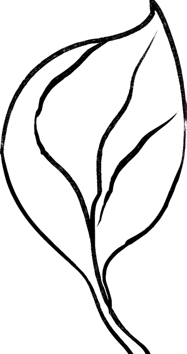 Line leaf drawing used as a bullet point 2