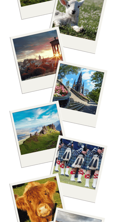 Polaroid pictures featuring different images