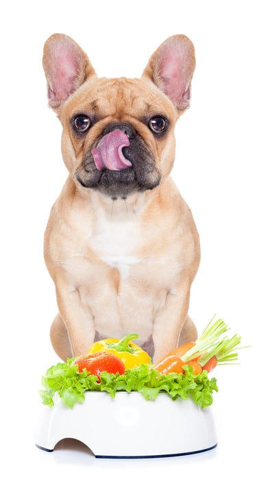Recipe for Vegan Dog Food Bowl