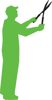 Vector illustration of a gardener trimming plants, representing professional landscaping services in