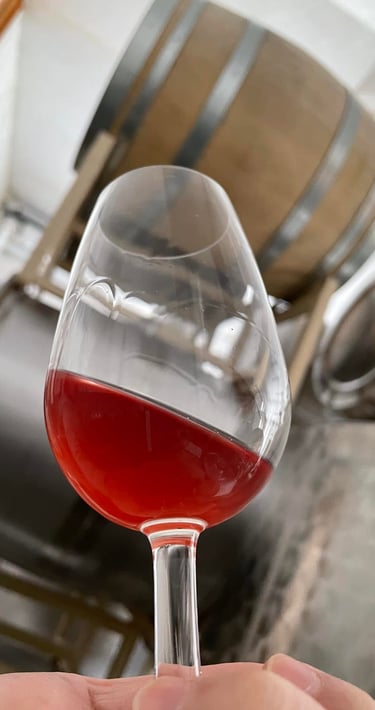 Kamisato Vineyard 上里酒庄