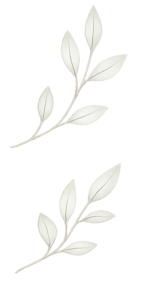Illustration représentant un décor feuillage