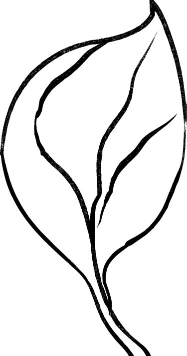 Line leaf drawing used as a bullet point 3