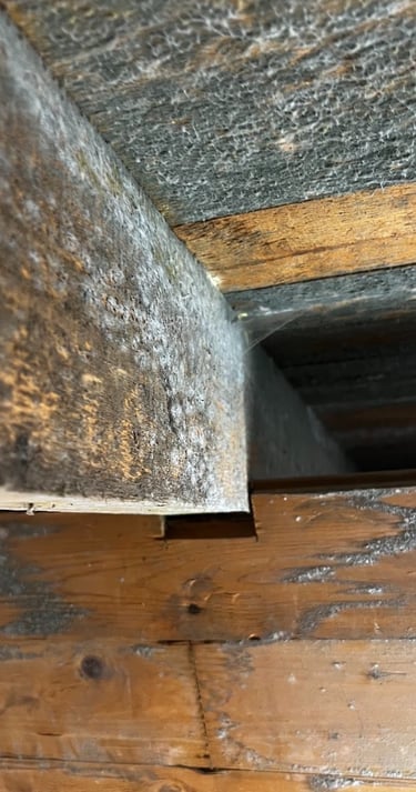Mögel skada, Krypgrundsavfuktare Västerås
