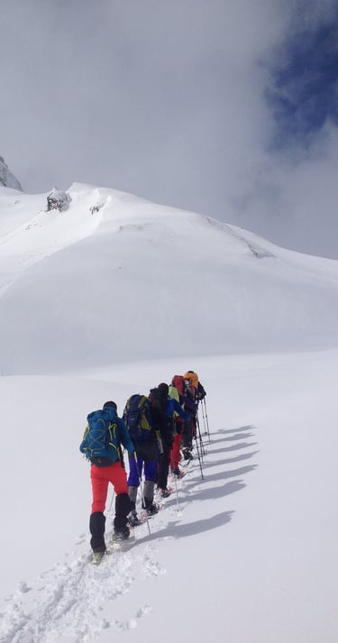 Grupo ascendiendo un pico con raquetas de nieve en el pirineo