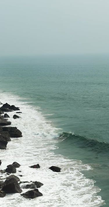 Ocean waves crashing against a dark rocky shoreline on a misty coastal morning.