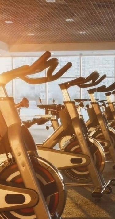 club house of emaar beryl gym 