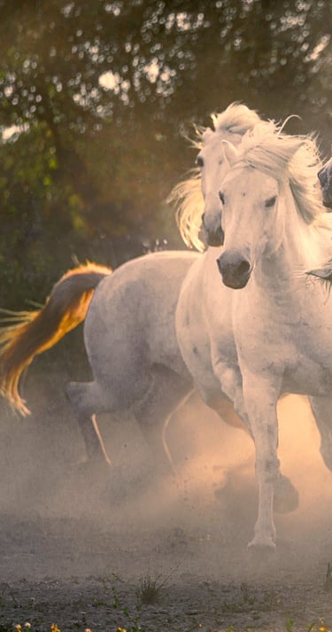 a group of horses running in the dust