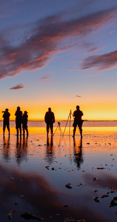 a group of people photographing horses on a beach at sunrise