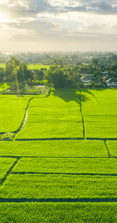 Buy, sell, invest, expand your land