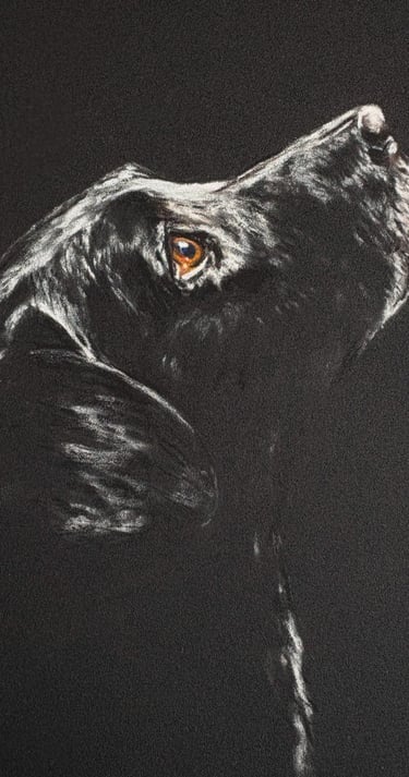 Soft pastel drawing of a black dog looking up waiting for a treat