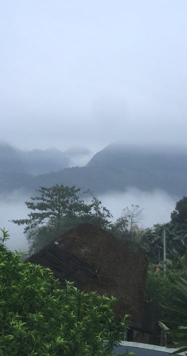 Pu Luong trekking experience