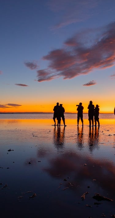 a group of people photographing horses on a beach at sunrise