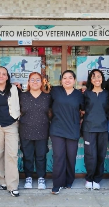 Equipo medico de Veterinaria Pekes