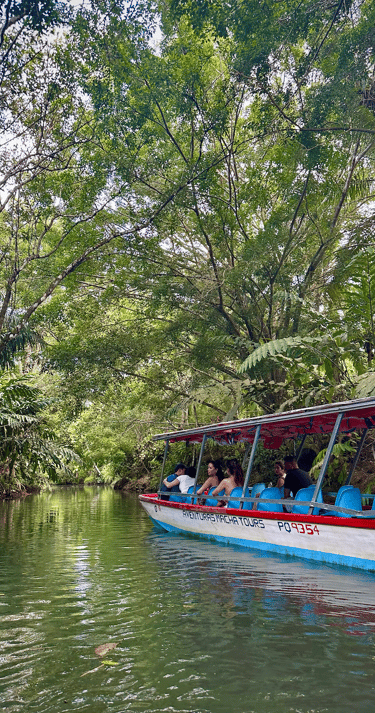 mangrove tour, manual antonio national park, costa rica boat tour