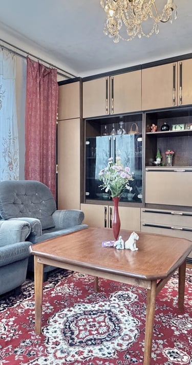 Svetainė su baldais