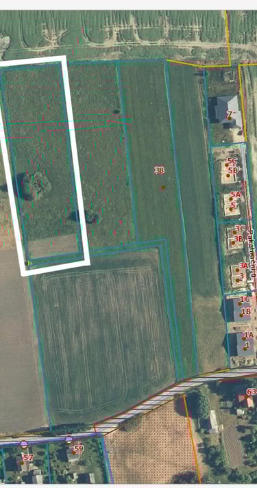 Žemės ūkio paskirties sklypas - NT brokeris Kaune Andrius Velykis - NT OAZĖ