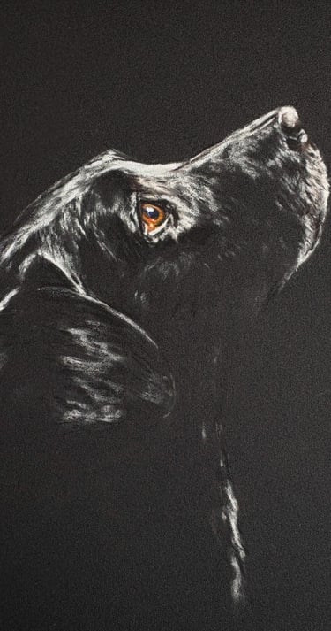 Soft pastel drawing of a black dog looking up waiting for a treat