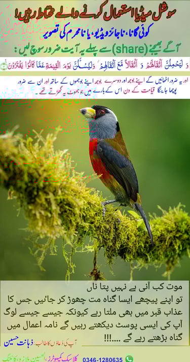 Avoid Sharing Haram Social Media-Islamic Digital Ethics-Warning zahanatonline.co