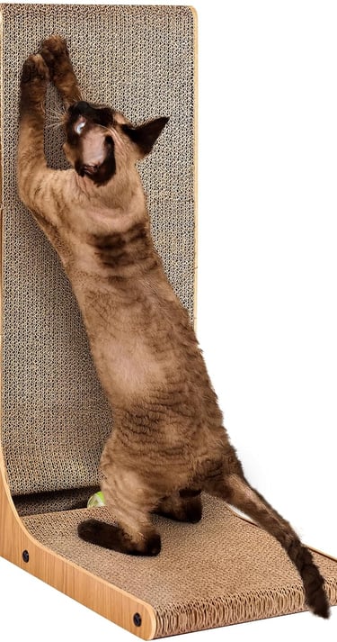 a cat is standing on a chair with a cat