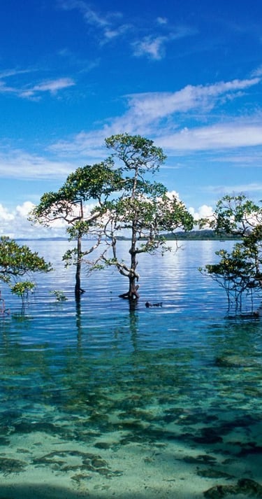 lakshadweep-island-beach side-joshua tours