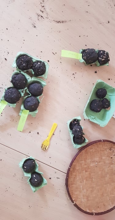 fabrication de bombes à graines: un geste ludique pour favoriser la biodiversité