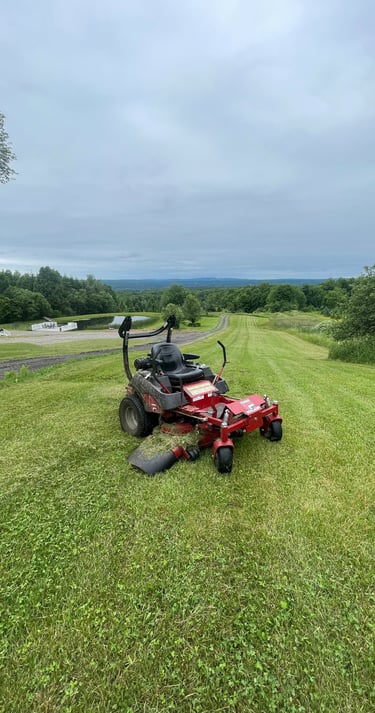 A lawn mower in a freshly mowed lawn