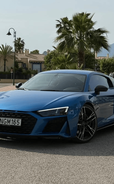 A blue Audi R8 luxury sports car parked on a sunny street with palm trees and villas in the background.