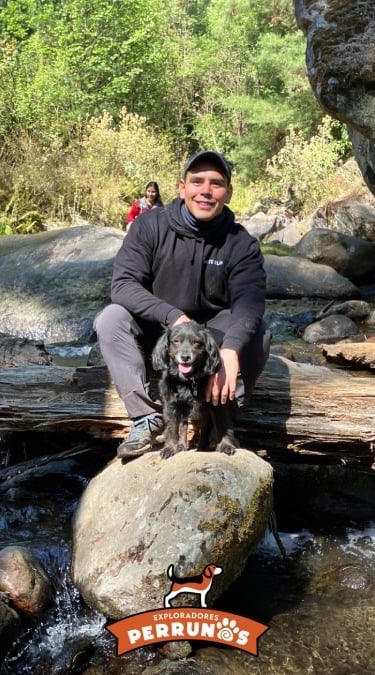hombre y su perro negro sentados en un tronco sobre un arroyo en el bosque mientras hacen senderismo