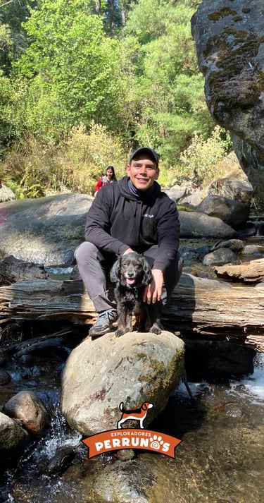 Un hombre sonriente pasea con su pequeño perro negro sobre las rocas de un río en un frondoso bosque