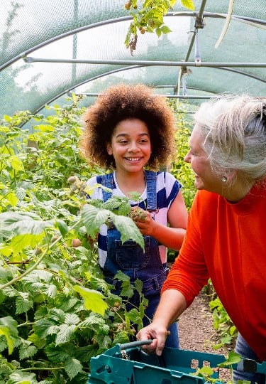 A grandmother and a young girl in the greenhouse