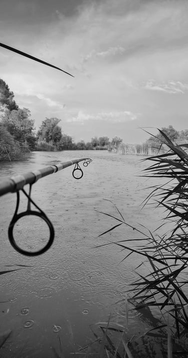 ChatGPT Plus A beautiful image of a river with a fishing rod pointing towards the horizon while rain