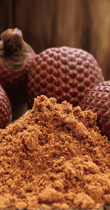 Fruto de aguaje o moriche junto a su presentación en polvo, disponible para el mercado de España y Europa