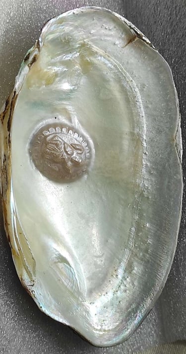 "Divine face designer pearl in white, approx 11mm–angled side view-Export-standard"