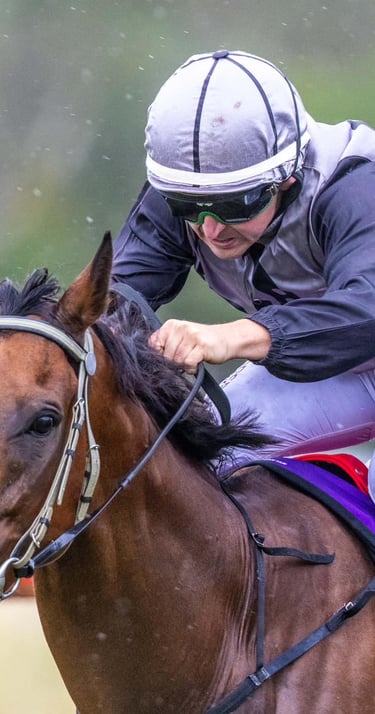 Jockey rides a racehorse at Nanango