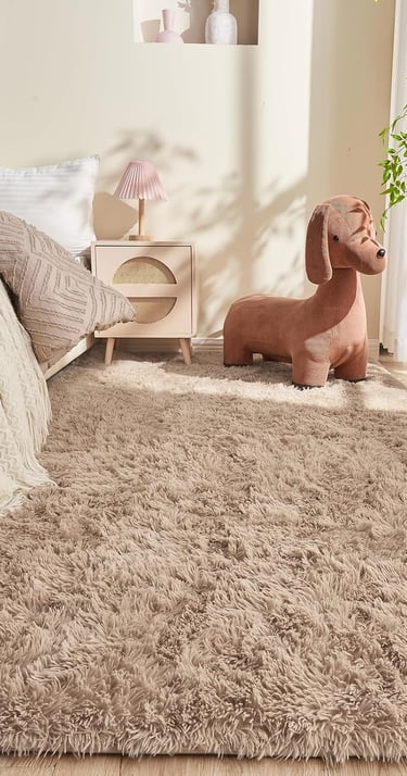 Fluffy Area Rugs for Living Room