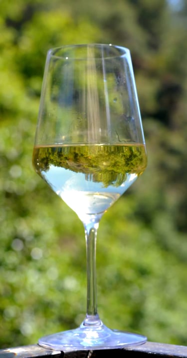 a glass of wine with a reflection durong our Cyprus photography tour 