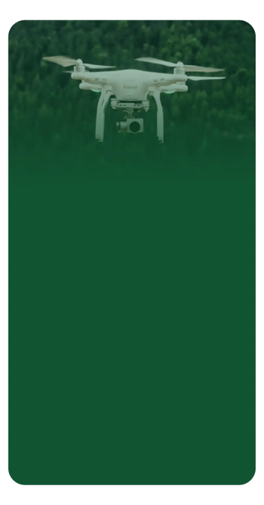 Serviços de resgate de drones em árvores Curitiba PR